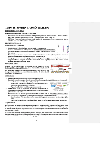 BIOQUIMICA-TEMA-6-ESTRUCTURA-Y-FUNCION-PROTEINAS.pdf