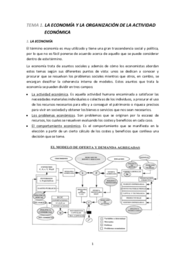 Temas 1-8 resumidos.pdf