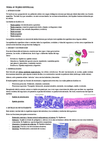 BIOLOGIA-CELULAR-TEMA-15-TEJIDO-EPITELIAL.pdf