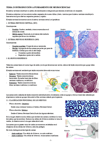 BIOLOGIA-CELULAR-TEMA-23-TEJIDO-NERVIOSO.pdf