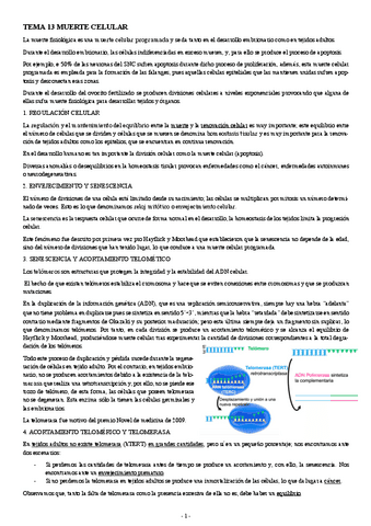 BIOLOGIA-CELULAR-Y-TISULAR-TEMA-13-Y-14-MUERTE-CELULAR-Y-CELULAS-MADRE.pdf