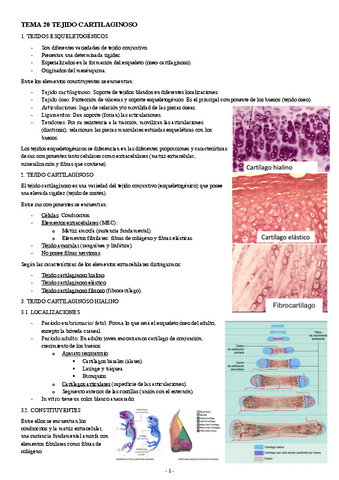 BIOLOGIA-CELULAR-Y-TISULAR-TEMA-20-TEJIDO-CARTILAGINOSO.pdf