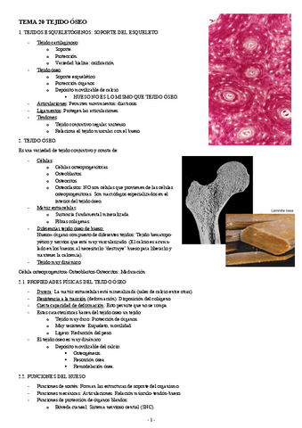 BIOLOGIA-CELULAR-Y-TISULAR-TEMA-21-TEJIDO-OSEO.pdf