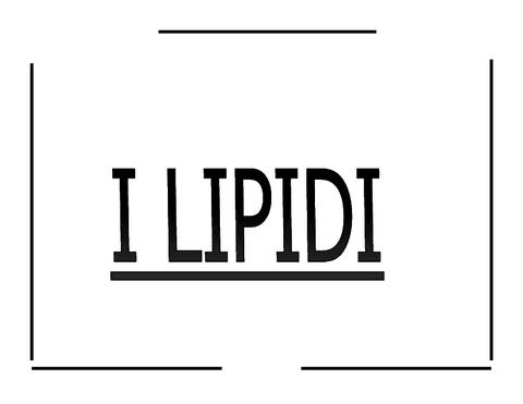 LIPIDI-2014rev-nocolor.pdf