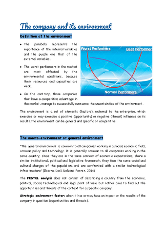 2-The-company-and-its-environment.pdf