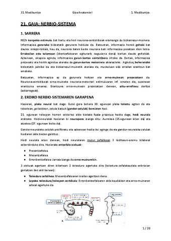 T21.-NERBIO-SISTEMA.pdf