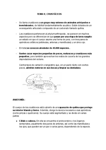 Tema8-13Zoo.pdf