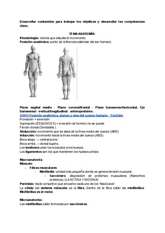 RESUMEN-TEMA-1-AL-5.pdf