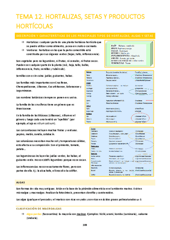CPA-I-T12.pdf