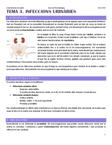 Tema-3.-Infeccions-urinaries.pdf