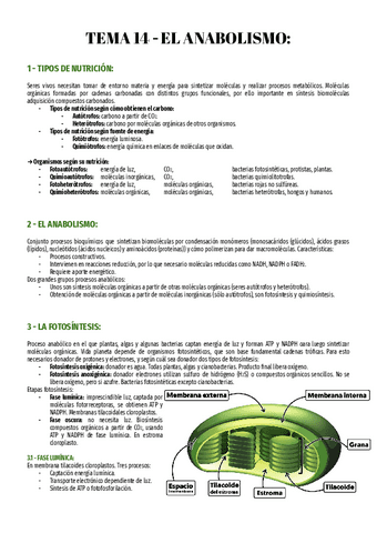T14-Bio-2o.pdf