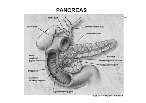 Lezione-Patologia-pancreatica-Prof.pdf