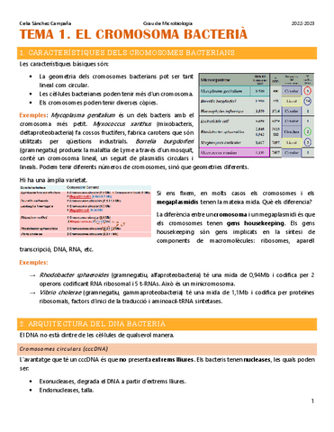 Tema-1.-El-cromosoma-bacteria.pdf