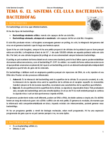 Tema-6.-Bacteriofags-i-transduccio.pdf