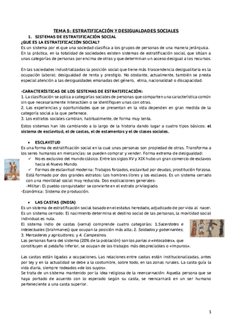 TEMA-5-ESTRATIFICACION-Y-DESIGUALDADES-SOCIALES-converted.pdf