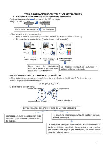 TEMA-3-FORMACION-DE-CAPITAL-E-INFRAESTRUCTURAS-pdf.pdf