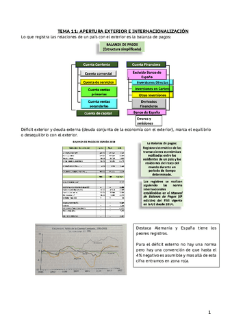 TEMA-11-SECTOR-EXTERIOR-pdf.pdf