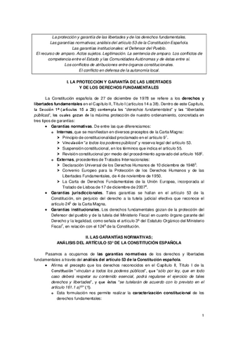 PROTECCION-DE-DDFF-Y-RECURSO-DE-AMPARO.pdf