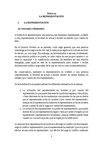 Tema-13-la-representaciAn.pdf
