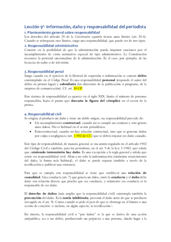 DER 09 Información- daño y responsabilidad.pdf