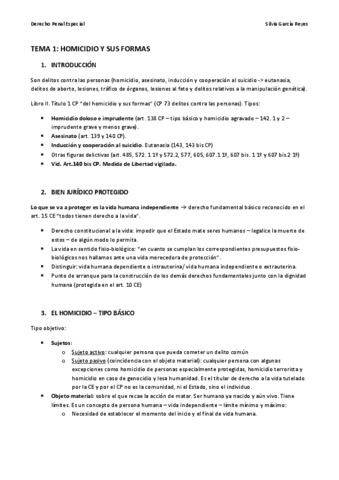 TEMA-1-PENAL-ESPECIAL.pdf