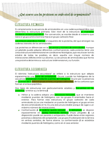 Niveles-de-organizacion.pdf