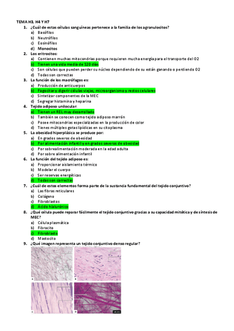 AUTOEVALUACION-H3,4,7.pdf
