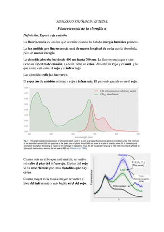Seminario-Fluorescencia.pdf