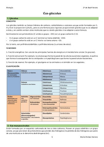 02. Los glúcidos.pdf