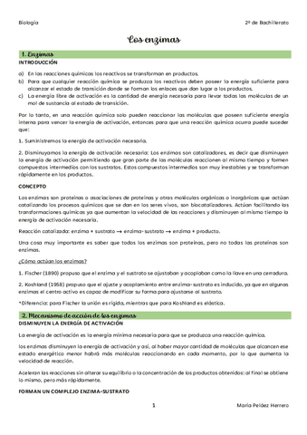 05. Los enzimas.pdf