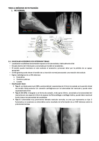 radiodiagnostico-P2.pdf