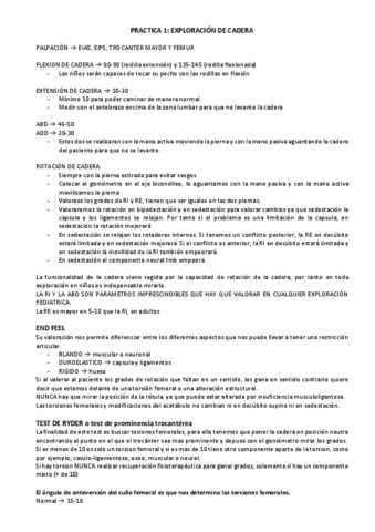 PRACTICAS-PATO-RESUMEN.pdf