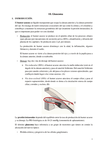 10.-Glaucoma.pdf
