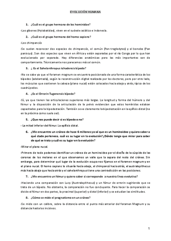 Preguntas-evolucion-humana-L.M.C.pdf