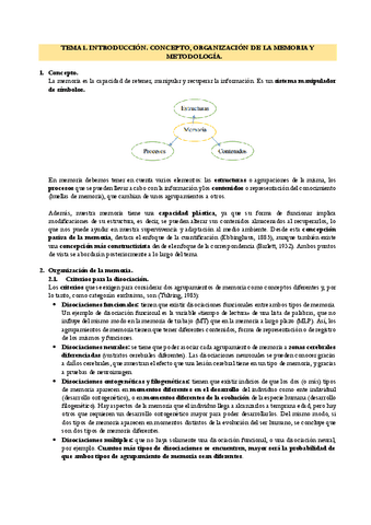 T1-ORGANIZACION-MEMORIA.pdf