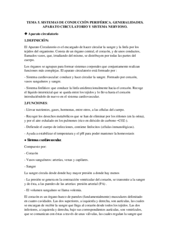 TEMA-5-ANATOMIA.pdf