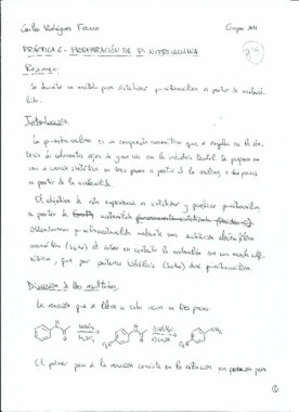 P6 Preparacion de p-nitroanilina.pdf