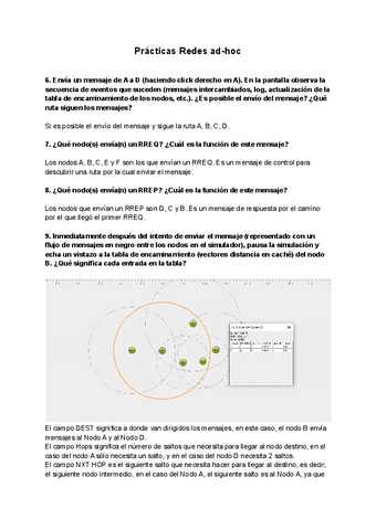 Practicas-Redes-ad-hoc.pdf