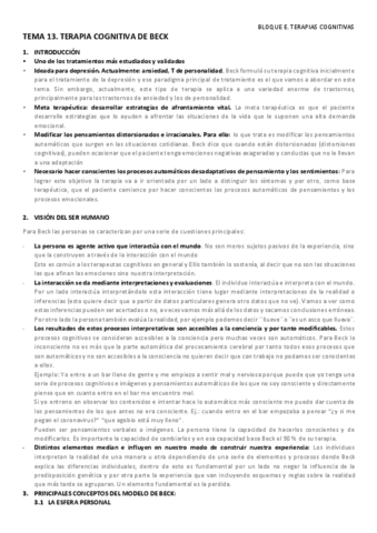 TEMA-13.pdf