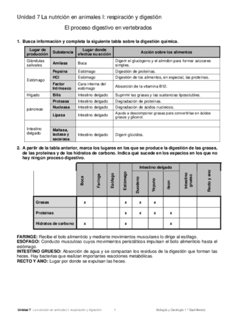 TABLA-ENZIMAS-DIJESTION.pdf