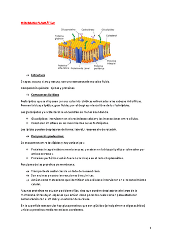 ORGANULOS.pdf