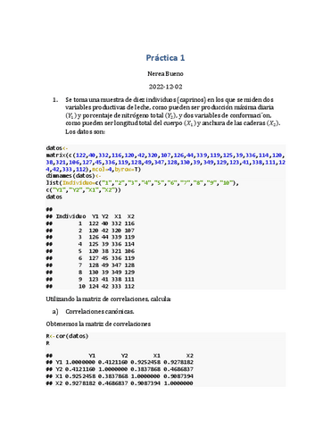 Practica1Nerea-Bueno.pdf