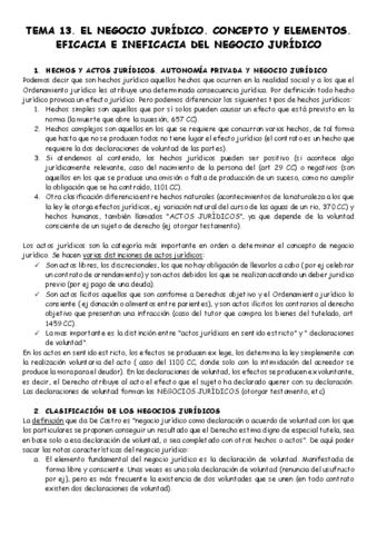 tema-13-civil.pdf