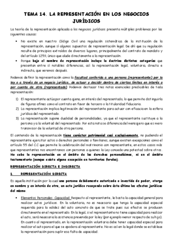 TEMA-14-CIVIL.pdf