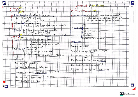 Funcions-sintactiques-i-substitucio-pronominal.pdf