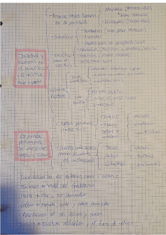 Documento-sin-titulo-9.pdf