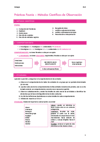 Practicas-Faunia.pdf