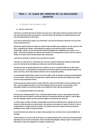 Apuntes-teoria-del-derecho.pdf