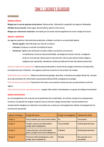 TEMA-3-TGL-CALIDAD-Y-SEGURIDAD.pdf