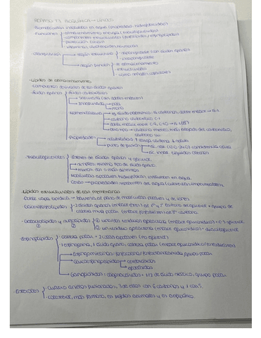 Esquema-T3-Biologia-.pdf
